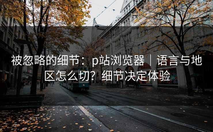 被忽略的细节：p站浏览器｜语言与地区怎么切？细节决定体验